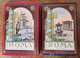 2 Carnets Partie 1 Et 2 Rome Roma Carnet Complet 32 Vues  Couverture Relief Gaufrée éditeur Serta Avec Plan - Collections & Lots