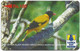 Sri Lanka - Lanka Pay Phones (GPT) - Black-Headed Oriole - 25SRLA - 100Rs, Used - Sri Lanka (Ceilán)