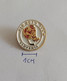 Old Boys Team Slovenia Ice Hockey Association PINS A10/6 - Sports D'hiver