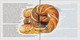 Poland 2022 Booklet / Polish Regional Products, Protected Geographical Indication, Food, Bagel, With Stamp MNH** - Libretti