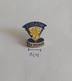 Finland Ice Hockey Federation Association Union PINS A10/6 - Sports D'hiver