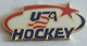 USA Ice-Hockey Team, Federation Association Union PINS A10/6 - Sports D'hiver