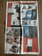 Une Double Page De Journal FESTIVAL D'ANGOULEME Sur Le Lorrain Hervé BARU ( BLUTCH Fluide Glacial ) 69cm X 56 - Donald Duck