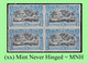 1910 ** BELGIAN CONGO / CONGO BELGE = COB 057 MNH BLUE FALLS BILINGUAL : BLOC OF -4- STAMPS WITH ORIGINAL GUM - Blocks & Sheetlets