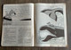 Delcampe - Pif A La Chasse Aux Lions N° Spécial Des Aventures De Pif Le Chien Revue Trimestrielle Septembre 1955 - Donald Duck
