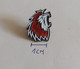 Lausanne HC  Switzerland Ice Hockey Club  PINS A10/7 - Sports D'hiver