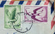 TURKEY 1960, AIRMAIL BIRD USED COVER TO USA 2 DIFFERENT BIRD STAMPS - Covers & Documents