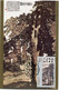 CHINE CARTE MAXIMUM DU N°3242 PEINTURE DE FU BOOSHI ARBRES ET MAISON AVEC OBLITERATION 1994-10-5 - Maximum Cards