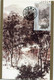 CHINE CARTE MAXIMUM DU N°3244 PEINTURE DE FU BOOSHI PROMENADE EN FORET AVEC OBLITERATION 1994-10-5 - Maximumkaarten