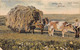 GUERNSEY- CHARIOT DE FOIN- CARTING HAY - Guernsey