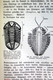 Delcampe - Geologisches Wanderbuch. Erster Teil. - Schulbücher