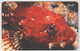 ISLE OF MAN - Scorpion Fish, Tirage 20.000, Used - Isle Of Man