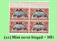 1918 ** RUANDA-URUNDI = RU 040 MNH RED CROSS + A.O.  OVERPRINT ( BLOCK X 4 STAMPS WITH ORIGINAL GUM + PAGE BORDER ) - Neufs