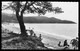 * Cpsm - CAVALAIRE SUR MER - Plage Du Gigaro - Animée - 8182 - Edit. MAR - 1952 - Cavalaire-sur-Mer