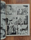 Magazine (A Suivre) (22,5 X 29) Bandes Dessinées - Illustration : Golo-Cossery - Fortsetzungen