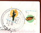 Argentina 1999 / 1995 Local Fauna - Birds, Ramphastos Toco Toco Toucan 50 C, Tyto Alba Barn Owl 1 $ - Storia Postale