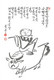 ¤¤   -   CHINE   -  Lot De 4 Cartes   -   Illustrateur       -  ¤¤ - China
