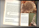 Delcampe - Guide Les Lichens  De Feige Kremer  Bibliothek Kosmos - Natuur