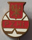 PZHL Poland Ice Hockey Federation  Association Union PINS A10/8 - Sports D'hiver