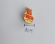 PZHL Poland Ice Hockey Federation  Association Union PINS A10/8 - Sports D'hiver