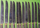 Delcampe - Ancien Service 12 COUTEAUX - Manche Bois - Lame Inox  - " Neuf De Stock Et Laissé Dans Leur Jus" - Vers 1930 - Knives