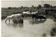 EN CAMARGUE - 13 -Photo GEORGE- Arles - Manade De Taureaux-  Circulée En 1956 - Other & Unclassified