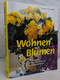 Wohnen Mit Blumen : Der Umfassende BLV-Ratgeber Für Mehr Als 500 Zimmerpflanzen. - Animales