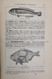 Delcampe - Synopsis Der Drei Naturreiche. Thierkunde. Ein Handbuch Für Höhere Lehranstalten. Erster Theil. Zoologie. Erst - Glossaries