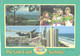 Australia:Gold Coast, Hinterland Coast, Feeding Lorikeets, Surfing, Dolphins Leap At Sea World - Gold Coast