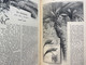 Delcampe - Vom Fels Zum Meer. Oktober 1883 Bis März 1884 In 2 Bänden Gebunden. - Autres & Non Classés