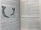 Delcampe - Zentralblatt Für Chirurgie. 64.Jahrgang 1937- I. - Gezondheid & Medicijnen