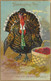 Ra[hael Tuck & Sons'  Comic Thanksgiving Day - Thanksgiving