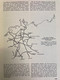 Raumforschung Und Raumordnung.  1. Jahrgang , Heft 4, Januar 1937. - 4. Neuzeit (1789-1914)