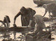 62. ETAPLES , Lavandiers , Laveuses Au Travail , Les Bords De La Ganche. 1915 - Etaples