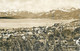 Wadenswil Switzerland Panorama Postcard 1956 - Wädenswil