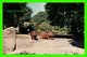 HIPPOPOTAMUS - HIPPOPOTAME ARE AT ZOOLIGICAL PARK, DETROIT MICHIGAN -  SHELTON COLOR PROCESS - - Ippopotami