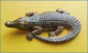 Joli Magnet CROCODILE - Dieren & Fauna