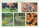 Hortus Haren: Victoria, Met Waterlelies, Vogelspin, Kleurentuin, Arboretum, Botanische Tulpen - (Holland/Nederland) - Haren
