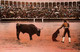 14526  MATADOR  ENTRANT A MATAR  ENTRANDO   A MATAR       (recto-verso) CORRIDA - Stierkampf