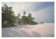 A20579 - MALDIVES VELAVARU ISLAND POST CARD USED STAMP MALDIVES ROSA MULTIFLORA SENT TO SWITZERLAND BEACH PALM TREES - Maldiven