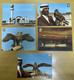 United Arab Emirates Falcon Training ,Mosque Old Postcards Printed In Spain RARE - Ver. Arab. Emirate