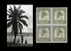 1942 ** RUANDA-URUNDI = RU 127 MNH OLIVE PALM TREES / PHOTO CARD (12.8 X 9.3 Mm) WITH BLOCK OF 4 MNH STAMPS - Ruanda Urundi