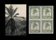 1942 ** RUANDA-URUNDI = RU 127 MNH OLIVE PALM TREES / PHOTO CARD [B] (12.8 X 9.3 Mm) WITH BLOCK OF 4 MNH STAMPS - Ruanda-Urundi