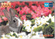 CARTE-MAGNETIQUE-JAPON-LAPIN-TBE- - Kaninchen