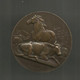 Médaille, Agriculture,élevage ,cheval ,  Vache,  Moutons, Graveur : Alphée DUBOIS,bronze,,2 Scans,frais Fr 3.35 E - Professionals / Firms