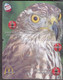 BIRD OWL 3 PUZZLES OF 6 PHONE CARDS - Gufi E Civette