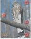 BIRD OWL 3 PUZZLES OF 6 PHONE CARDS - Hiboux & Chouettes