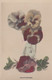 52 Flowers  - Camera Studies 1926 - Hand Coloured RP, W Verse- Cavanders Cigarette Card - 5x8 Cm - - Other Brands