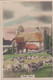 50 Country Scene, Sheep  - Camera Studies 1926 - Hand Coloured RP, W Verse- Cavanders Cigarette Card - 5x8 Cm - - Other Brands