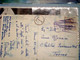 CARD ZOO  BEAR BERNE Schweiz Switzerland Suisse Helvetia 1936 Canton BERN Local Tax Revenue Stamp 20 C Used  IY3824 - Steuermarken